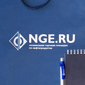 NGE.ru — интернет-портал