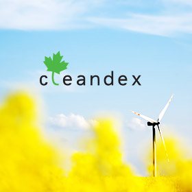 Cleandex — аналитическое агентство